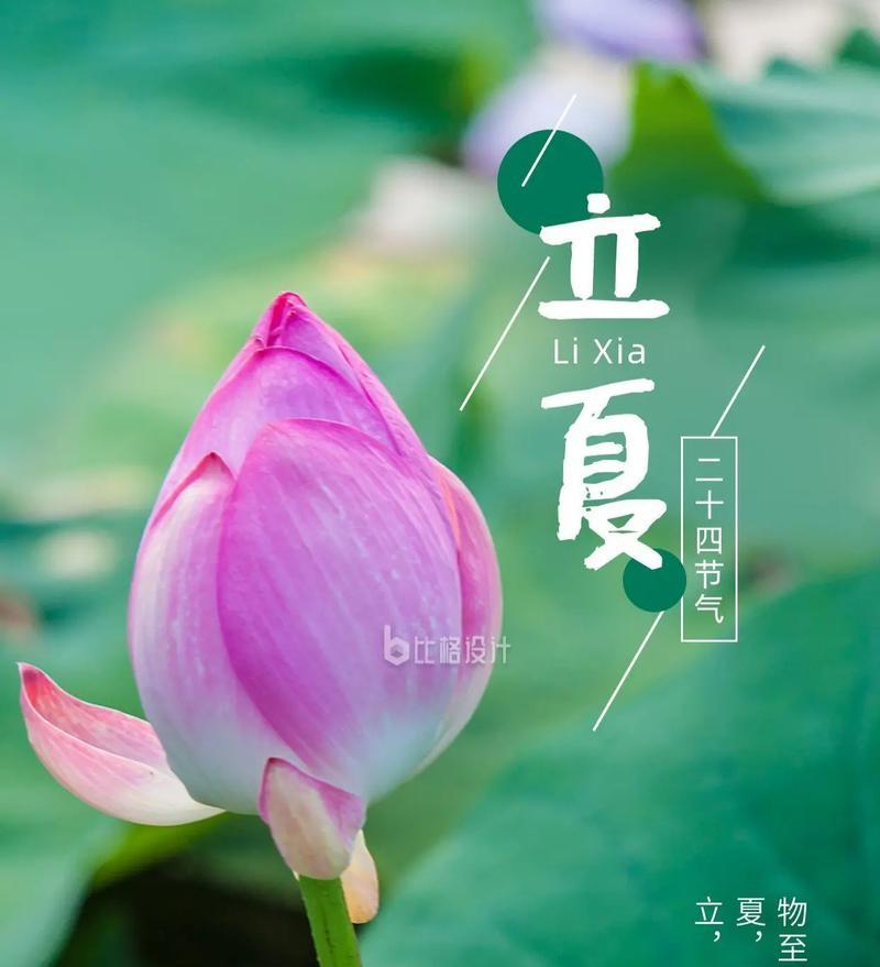 立夏朋友圈怎么发？（《立夏之序：四时更替，万物生长》）
