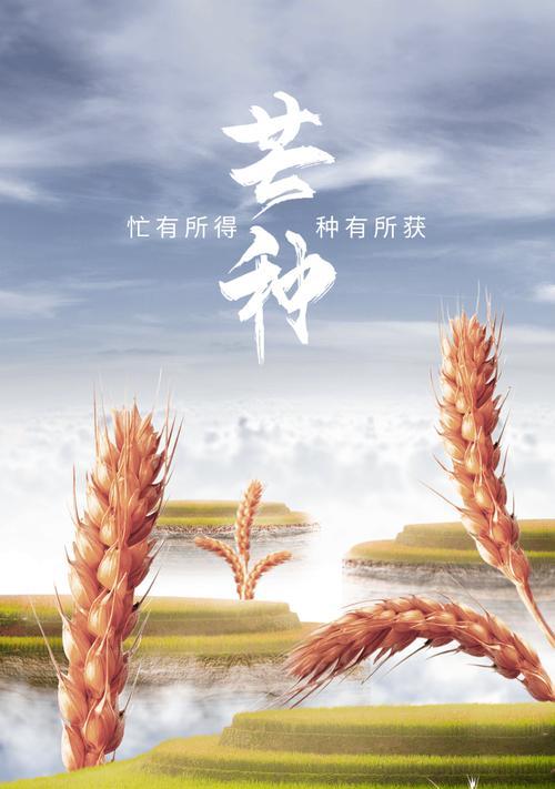 关于芒种的朋友圈文案（《芒种时分：耕耘与希望的交响诗》）