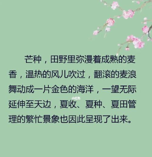 有关关于芒种的句子简短的句子摘抄（《芒种之际：诗意田园，岁月静好》）
