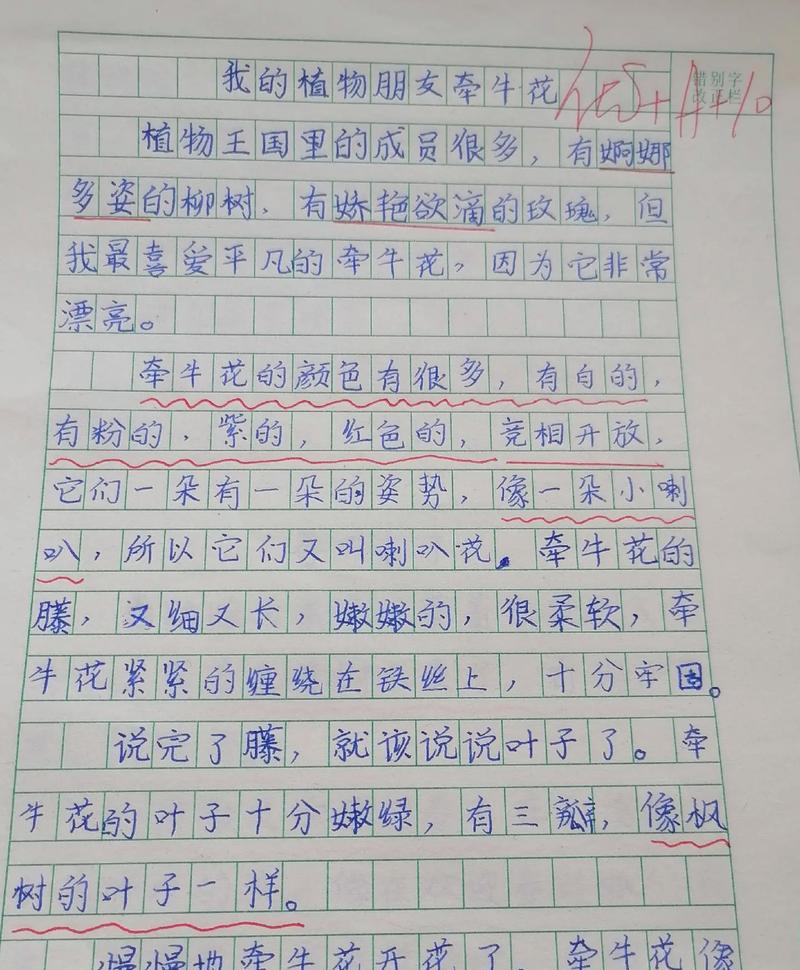 关于芒种的话语（《芒种时节，麦浪翻滚，丰收的喜悦》）