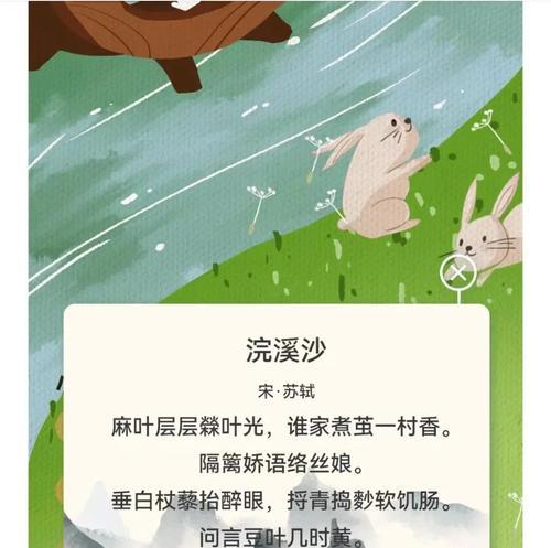小满的满是什么意思含义（《微光中的温暖——小满的故事》）