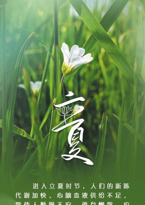 立夏唯美句子意境好句有哪些？（《立夏之雅：五彩绘心田》）