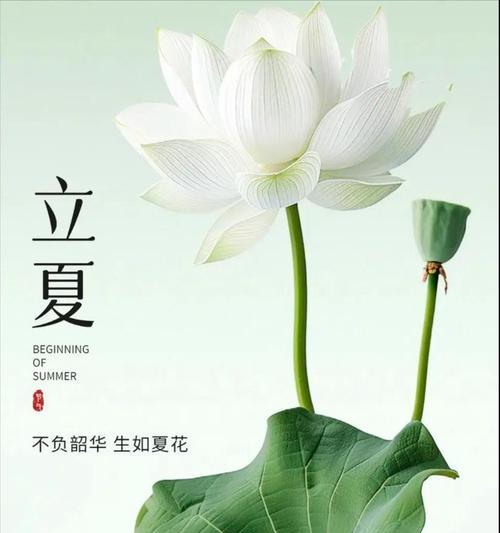 立夏唯美句子意境好句有哪些？（《立夏之雅：五彩绘心田》）