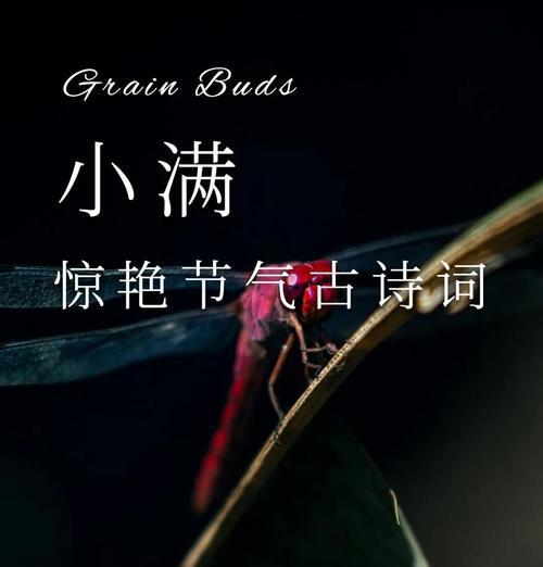 小满古诗句子摘抄大全好句有哪些？（《满园春色关不住）