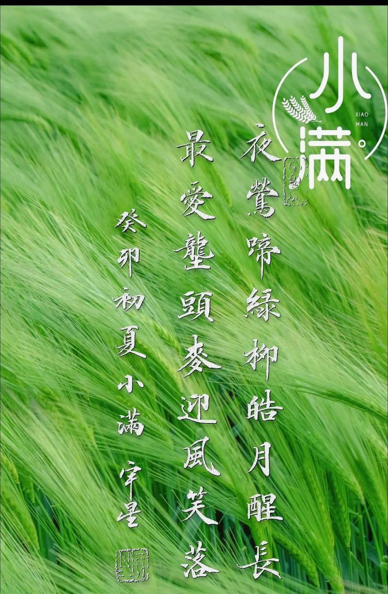 小满节气有哪些祝福语？（《小满盈怀，圆满如画》）