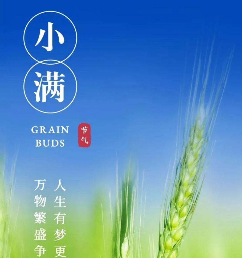 小满节气有哪些祝福语？（《小满盈怀，圆满如画》）