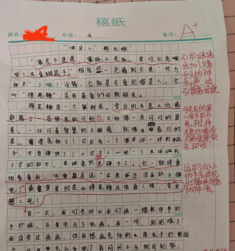 芒种杯作文400字优秀（《芒种之约：青春的田野》）