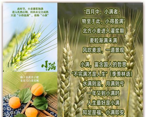 节气小满有什么寓意（《小满时节，风物长宜放眼量》）