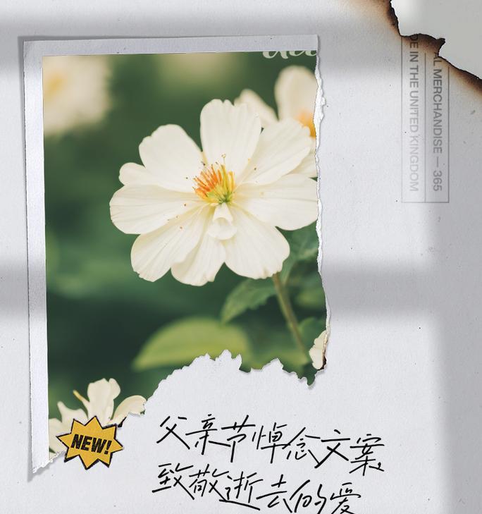 如何撰写感人至深的父亲节祭奠文案？（《追思先父：以文祭墨香》）
