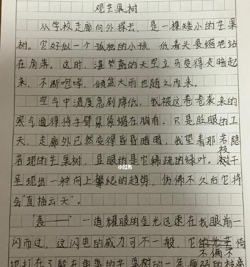 芒种写一篇作文（《芒种作文400字五年级》）