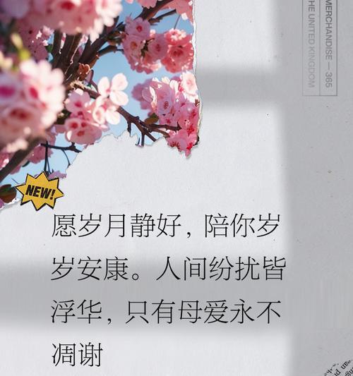 母亲节的浪漫语录好句有哪些？（《母亲节里话温慈》）
