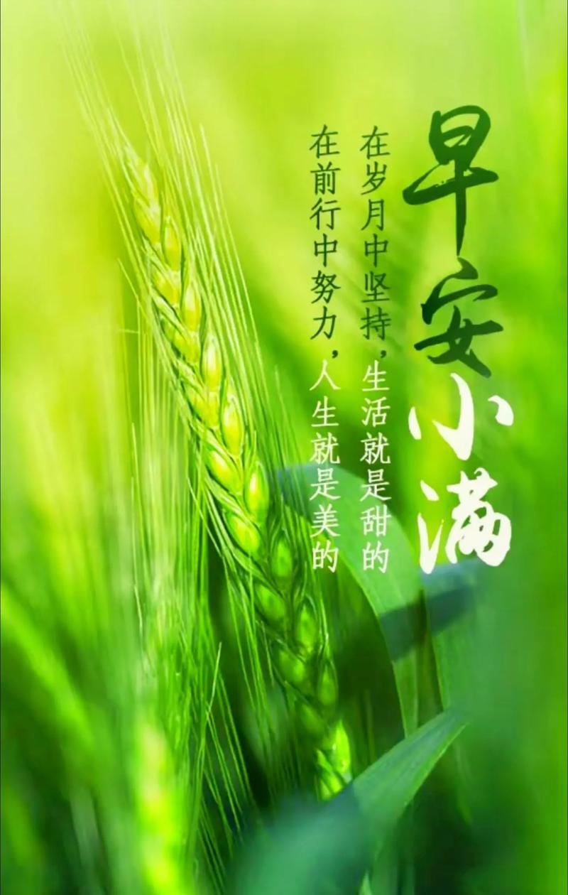 小满含义是什么意思?小满的到来预示着什么?（《满庭芳·小满人间》）