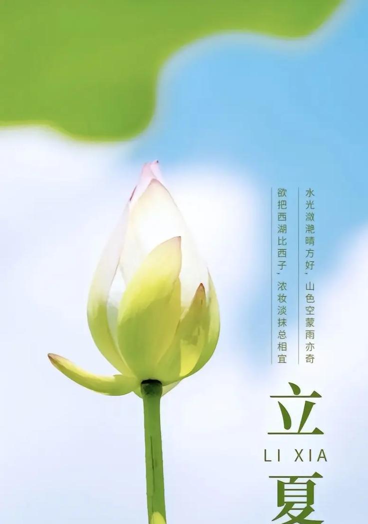 立夏毕业时语录好句有哪些？（《立夏之约：毕业诗行，青春不散》）