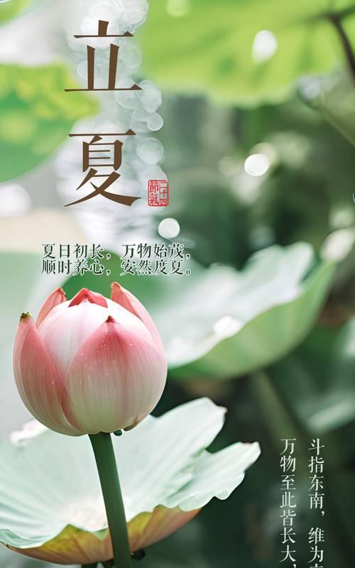 立夏毕业时语录好句有哪些？（《立夏之约：毕业诗行，青春不散》）
