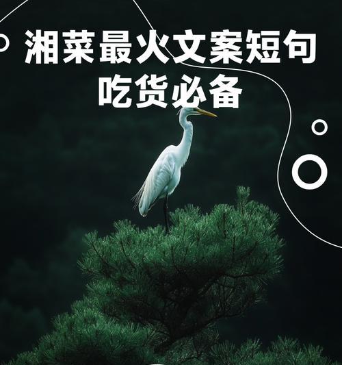 儿童节湘菜文案怎么写？（《童心未泯：六一与湘味共舞的文化雅宴》）