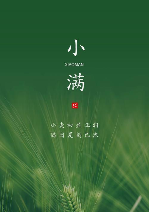 小满养蚕（《蚕桑小满语：织梦如春蚕》）