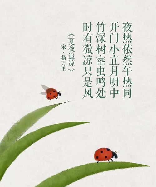 庚子夏什么意思（《庚子立夏：节气里的诗意流转》）