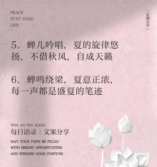 夏至蝉鸣什么意思（《夏至蝉鸣：古韵悠扬，诗意长存》）