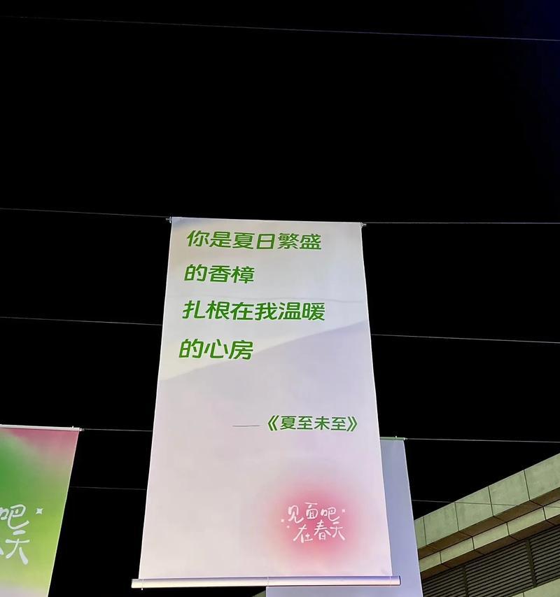 夏至未至如何记录青春的美好？（《夏至未至：墨染流年》）