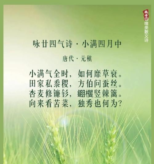 历代小满五言古诗句子好句有哪些？（《时序更替，满盈诗意》）