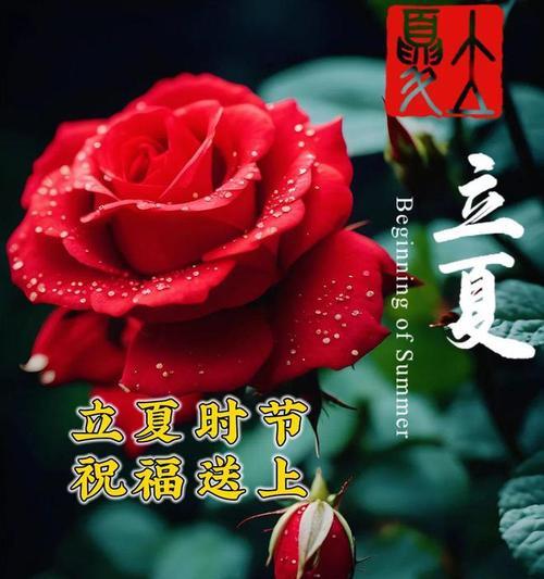 立夏祝福语有哪些？（《立夏雅韵：二十四节气之首篇》）