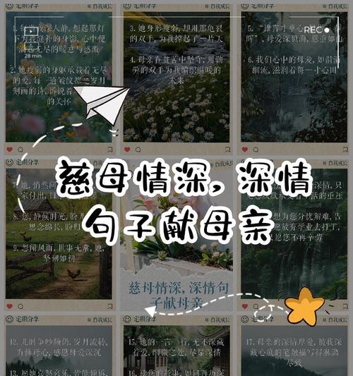 母亲节写给继母的句子好句有哪些？（《慈心绘春晖——寄吾慈母》）