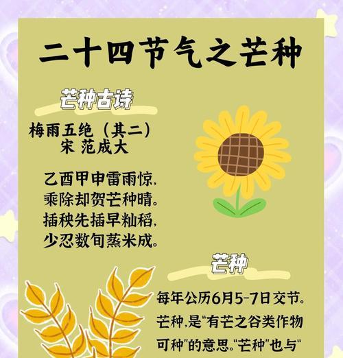 描写芒种时的自然风光（《芒种：草木茂盛，夏意浓》）