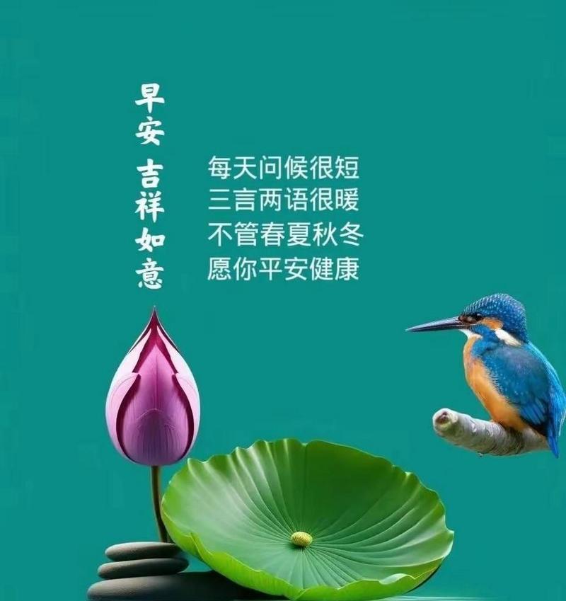 夏至早安唯美句子好句有哪些？（《夏至初晓：古韵今风话芳华》）