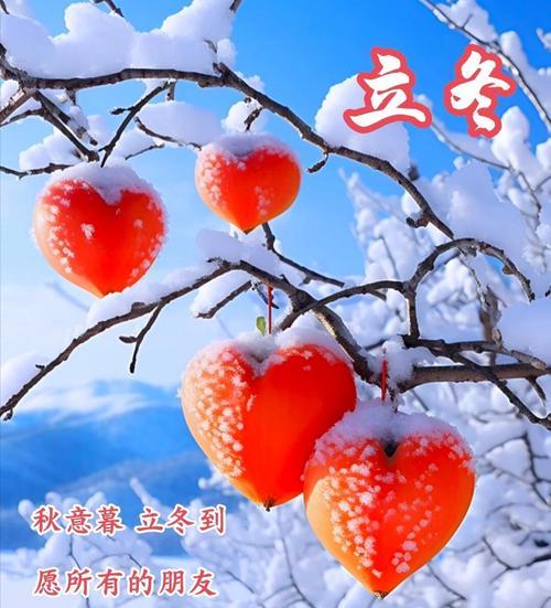 立冬祝福语和父亲节快乐好句有哪些？（立冬颂父，情暖如春）