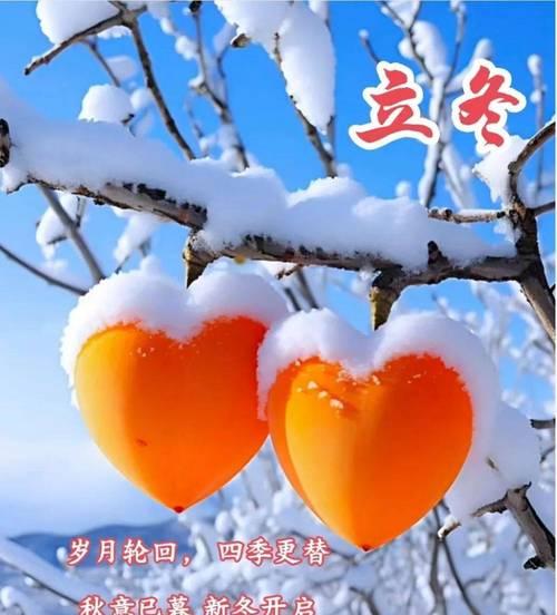 立冬祝福语和父亲节快乐好句有哪些？（立冬颂父，情暖如春）