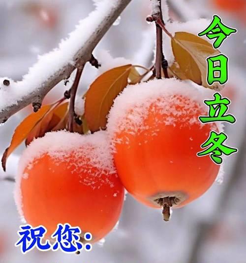 立冬祝福语和父亲节快乐好句有哪些？（立冬颂父，情暖如春）
