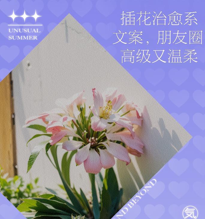 母亲节插花话术（《花语寄情）