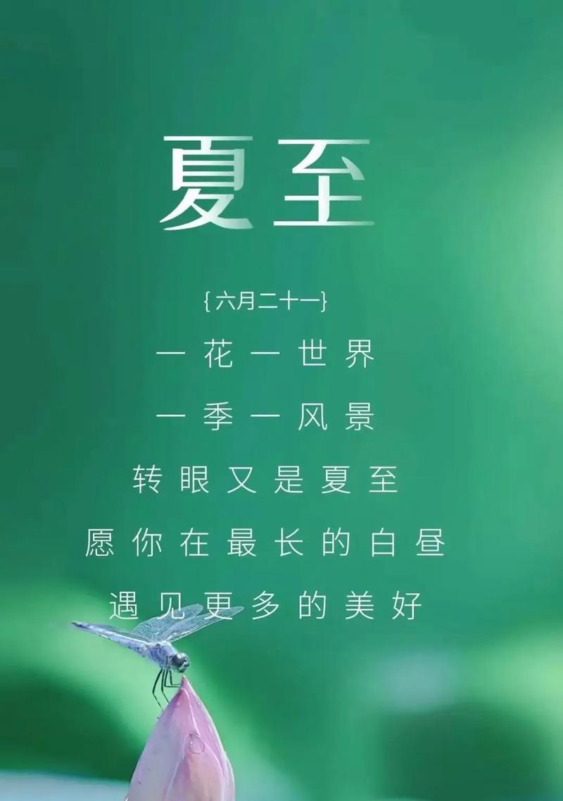 出生在夏至左右有什么寓意（《夏至之日，新生命启航》）
