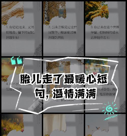 出生在夏至左右有什么寓意（《夏至之日，新生命启航》）