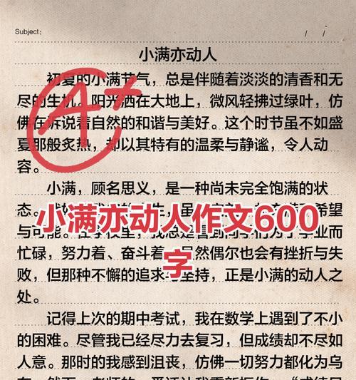 小满时间（《夏至未至，小满心事》）