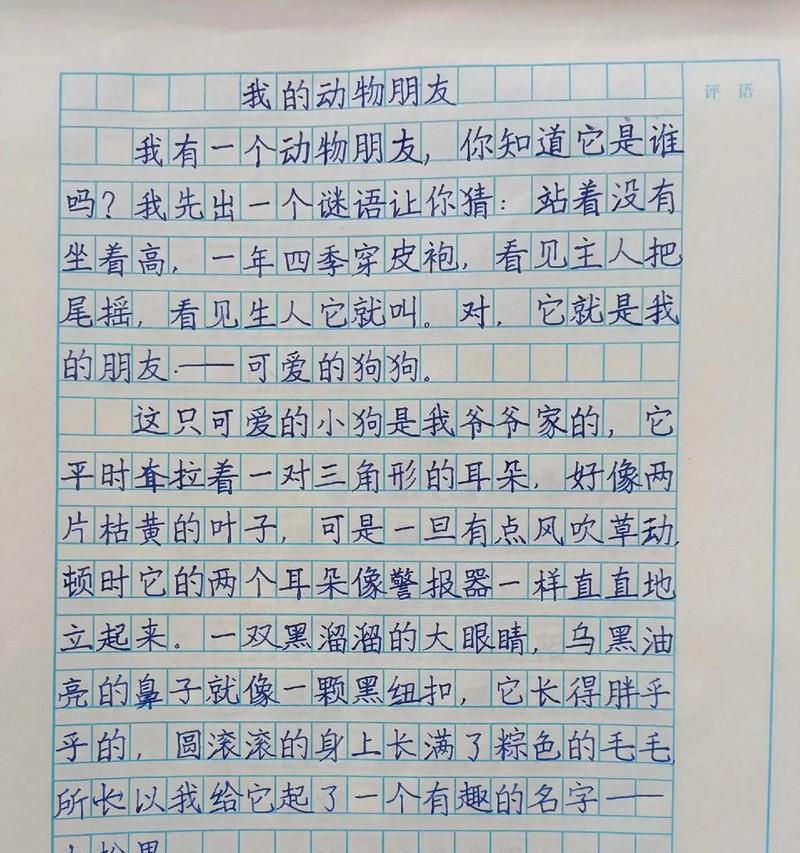 有关动物的儿童节想象作文的作文怎么写（《儿童节的奇妙动物园之旅》）
