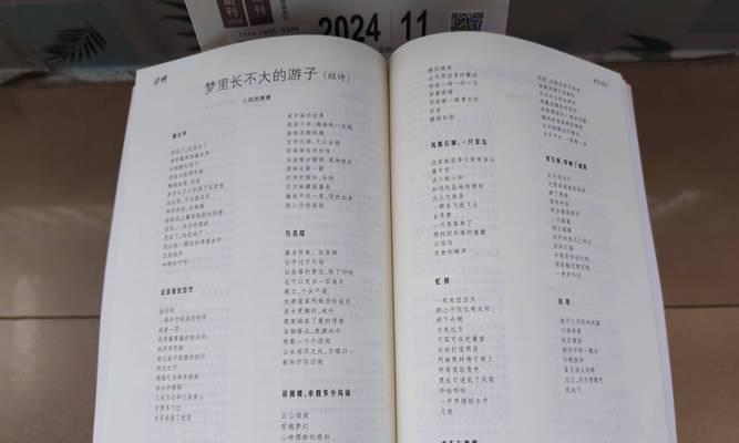 关于芒种的作文600字（《芒种时节的耕耘与收获》）