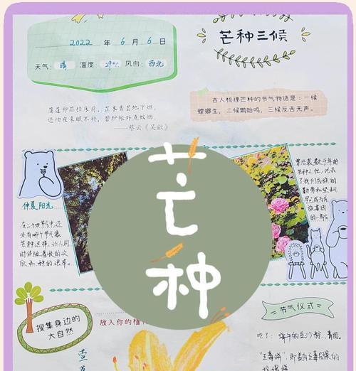 对芒种节气的感悟（《芒种时节，青梅之约》）