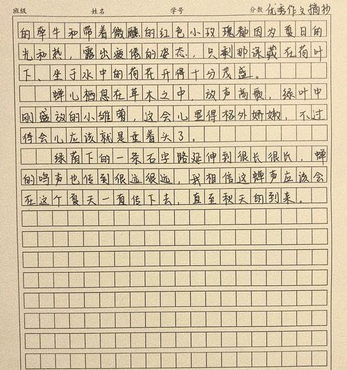 夏至班级活动作文怎么写？（《关于夏至班级活动的作文》）