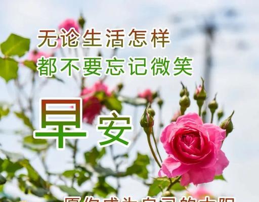 2024年处暑，那份温暖依旧（用短句诠释心情）
