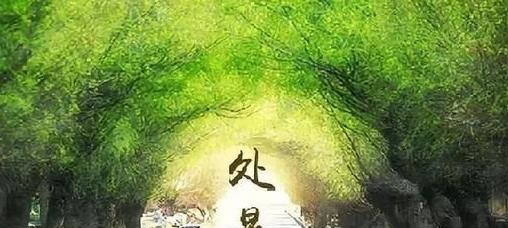 炎热未完，秋意已浓——处暑唯美语录（寄情于节气）