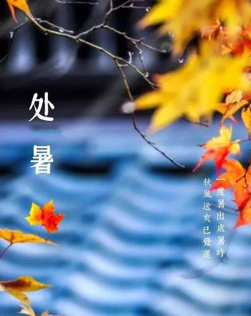 用唯美短句描述处暑的美（用唯美短句描述处暑的美）