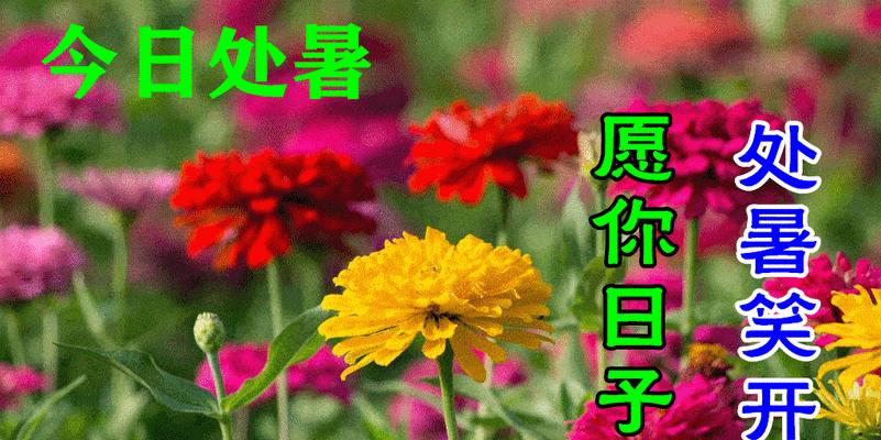 2024年处暑节气早安语录（以唯美短句为主）