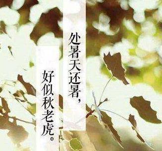 秋意渐浓，祝福不断（秋意渐浓）