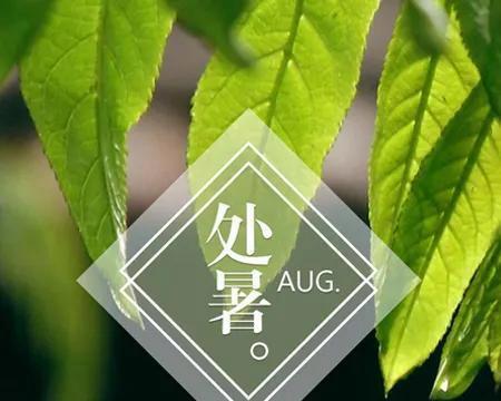 初秋的美丽天空（处暑节气的天气转凉）