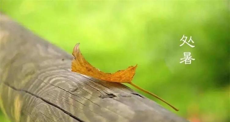 处暑节气，收获盛宴（夏日华章）
