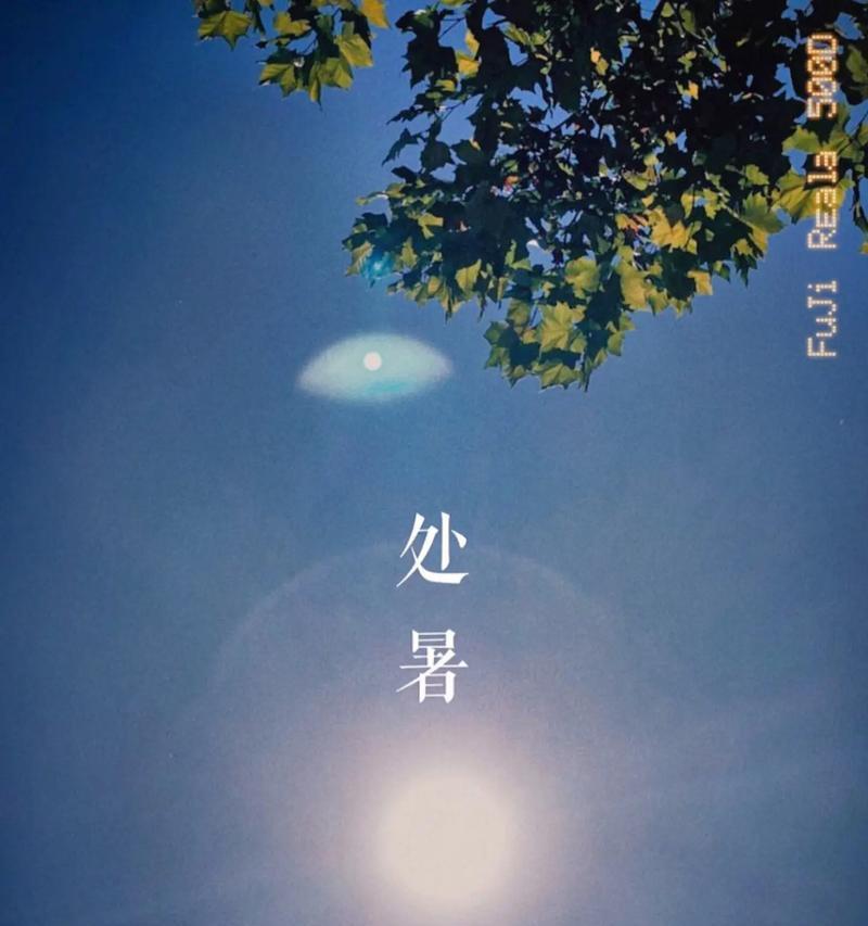 岁月静好，处暑花开（回顾繁华）