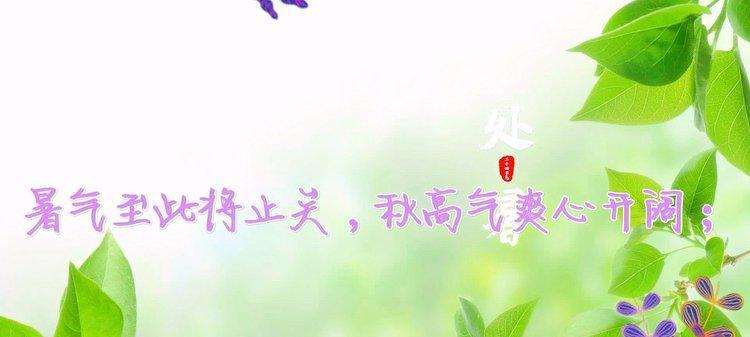 岁月静好，处暑花开（回顾繁华）
