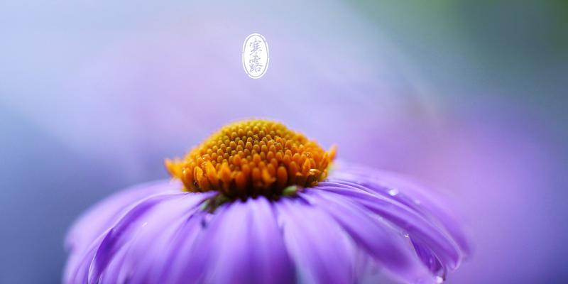 寒露时节，愿你富贵平安（一个美好的祝福）
