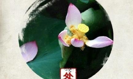 炎炎夏日，迎接一场宁静美丽的处暑（炎炎夏日）